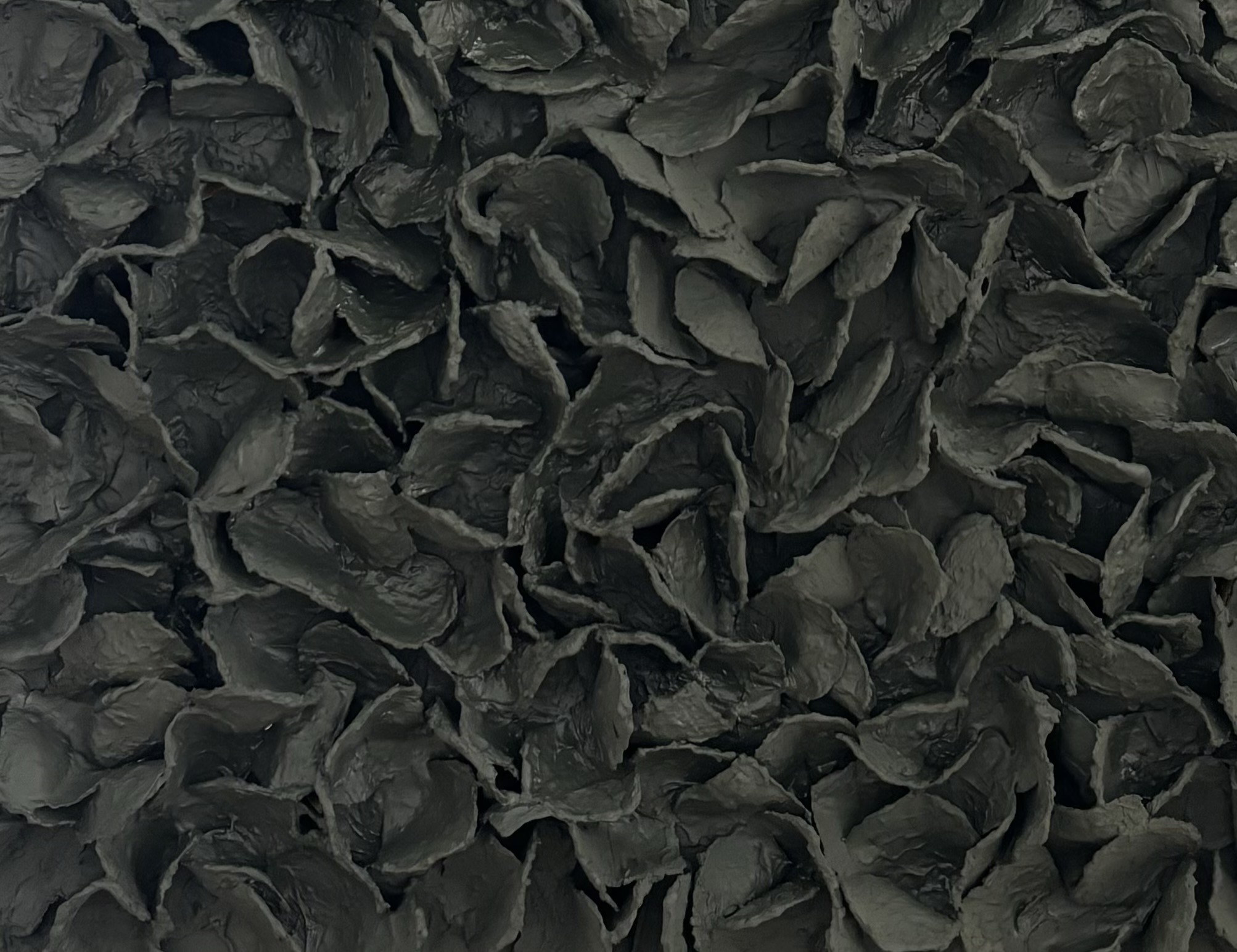 cover-photo